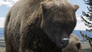 Prisma: Jääkauden jättiläiset: 21.12.2016 19.00