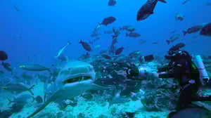 Avara luonto: Elämän tarina: 28.12.2016 09.05