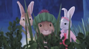 Petteri Kaniini (S): 18.06.2016 08.47