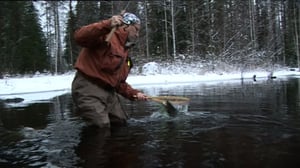 Erätulilla - kalavesillä: 14.11.2016 08.50