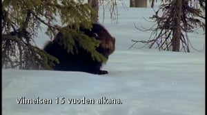 Yle Oddasat: 05.01.2017 15.15