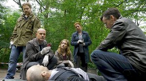 Kriminalisti (12): 05.01.2017 19.00