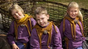 Syrhämä (7): 06.01.2017 09.28