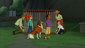 Lassie (7): 07.01.2017 09.27