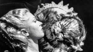 Kaunotar ja hirviö (7): 07.01.2017 21.53