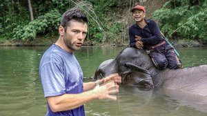 Matkapassi: Thaimaa: 08.01.2017 19.10