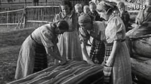 Vuosirenkaita: 12.01.2017 14.50