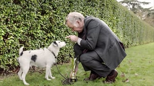 Drunk History (7): 13.01.2017 00.01