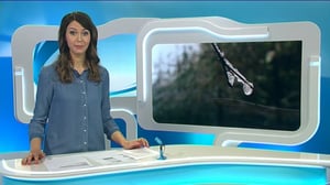 Yle Uutiset Lappi: Yle Uutiset Lappi 13-01-2017 Klo 18-22: 13.01.2017 17.45