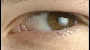 Tiedepankki II: 17.01.2017 11.00