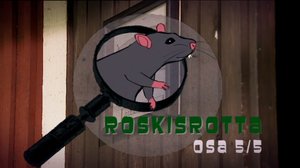 Roskisrotta: 17.01.2017 11.00