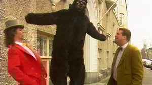 Mörjens (7): 18.01.2017 01.00