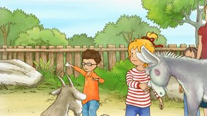 Laura (S): 19.01.2017 07.08