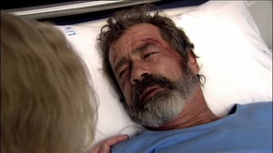 Viidakkoperhe (7): 19.01.2017 17.10