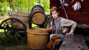 Syrhämä (7): 20.01.2017 08.20