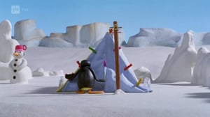 Pingu (S): 13.12.2016 18.00