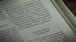 Pisara: 21.01.2017 15.10