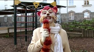 Katinkontti: 23.01.2017 18.00