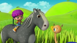 Kuiske (S): 24.01.2017 18.00