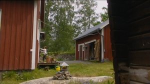 Maja ja Martin (S): 24.01.2017 18.30