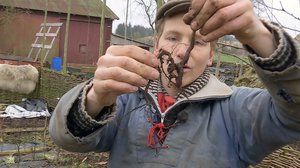 Tanskalainen maajussi: 25.01.2017 19.00