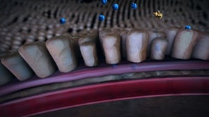 Eurooppalainen keksintöpalkinto 2016: 25.01.2017 19.50