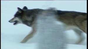 Yle Uutiset Kaakkois-Suomi: Yle Uutiset Kaakkois-Suomi 27-01-2017 Klo 17-06: 27.01.2017 16.38