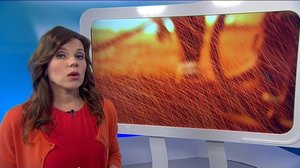 Yle Uutiset Uutis-Suomi: Yle Uutiset Uutis-Suomi 27-01-2017: 27.01.2017 20.00