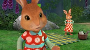 Petteri Kaniini (S): 28.01.2017 08.45