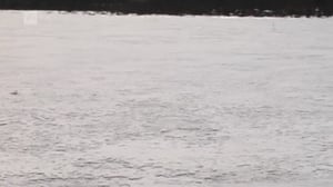 Novosti Yle: 11.11.2016 16.50