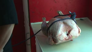 Älä kokeile tätä kotona: 07.10.2016 13.30