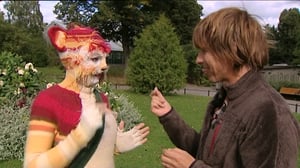 Katinkontti: 02.01.2017 18.00