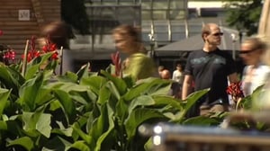 Novosti Yle: 04.06.2016 16.50