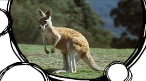 Ihmejuttu: 12.07.2016 18.00