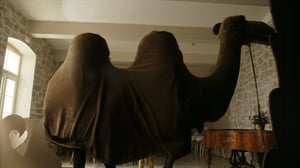 Merirosvoaarteen salaisuus (S): 20.12.2016 06.00