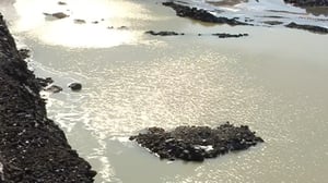 Yle News: 19.08.2016 15.05