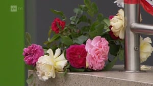 Yle News: 23.07.2016 15.04