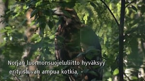 Yle Oddasat: 08.06.2016 15.15