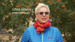 Festivaalipuhetta: 27.11.2016 20.04