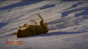 Tatonkan maailma: 29.08.2016 18.30