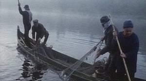 Tenon ylpiä kala - Deanu Ceavlas Guolli: 27.05.2016 09.00