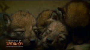 Tatonkan maailma: 15.08.2016 18.30