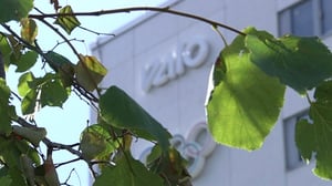 Urheiluruutu: 03.11.2016 21.55