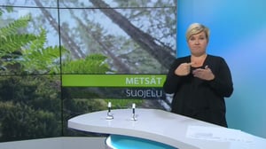 Yle Uutiset viittomakielellä: 21.08.2016 16.55