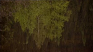 Pakkoluovutetut alueet: 28.11.2016 16.30