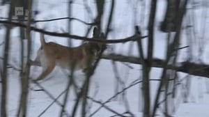 Yle Uutiset selkosuomeksi: 29.11.2016 15.10