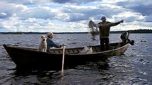 Tosi tarina: Niitty: 25.07.2016 12.00