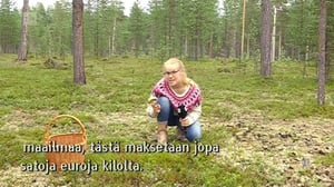 Yle Oddasat: 25.08.2016 15.15