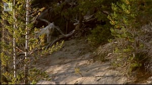 Ihmisen vaikutus planeettaamme: 04.01.2017 08.55