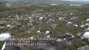 Yle Oddasat: 30.08.2016 15.15